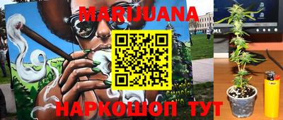 спайс Тара